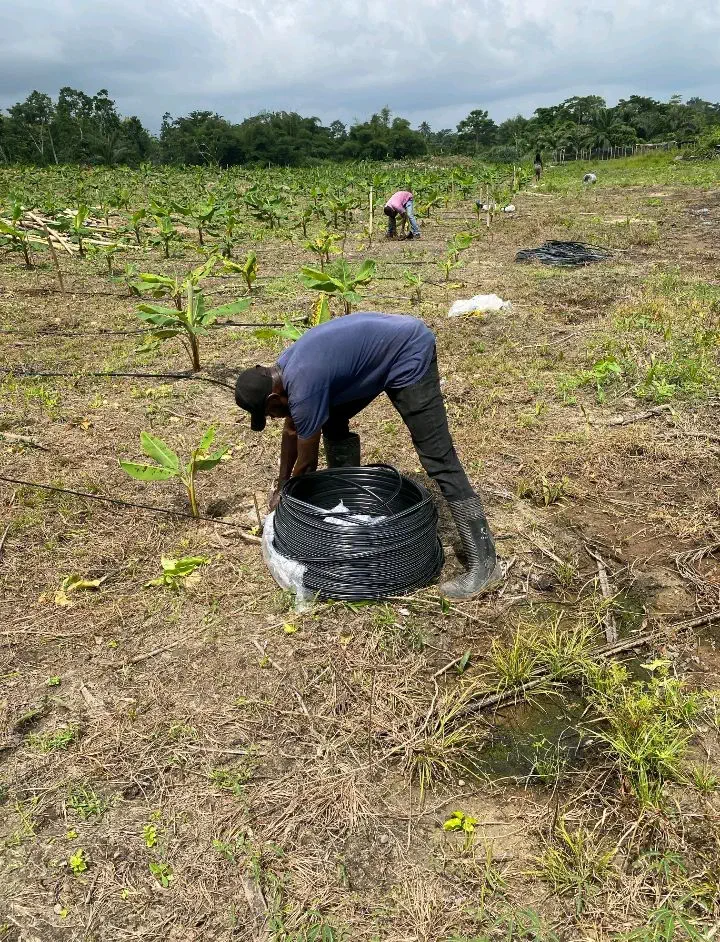 irrigation works